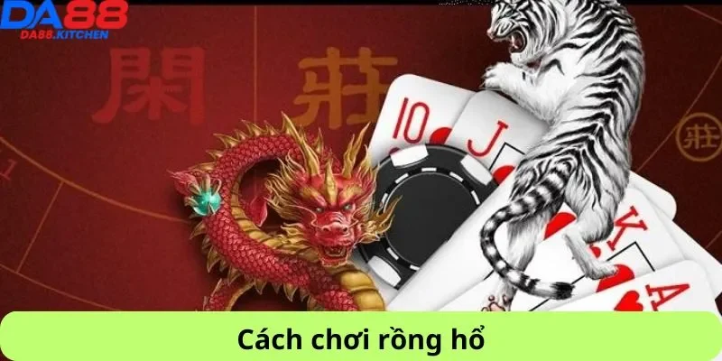 Cách chơi rồng hổ