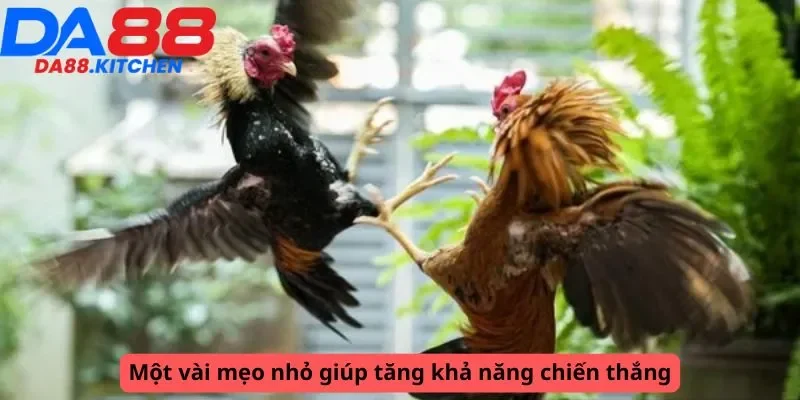 Mẹo tăng khả năng chiến thắng