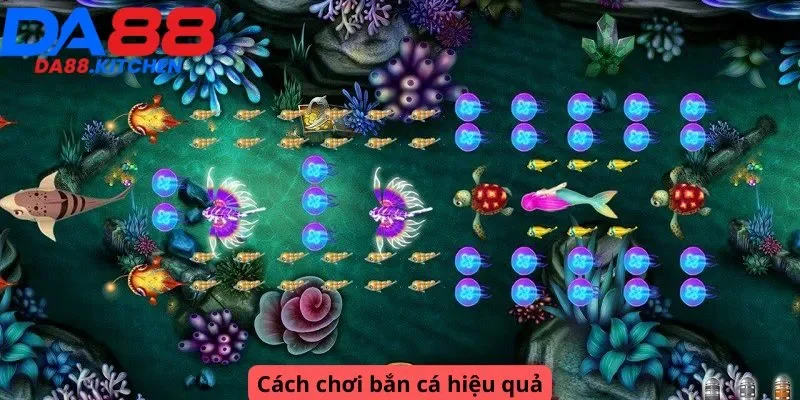 Cách chơi hiệu quả