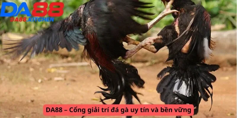 Cổng giải trí uy tín