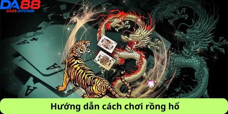Hướng dẫn cách chơi rồng hổ