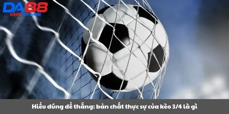Hiểu đúng để thắng: bản chất thực sự của kèo 3/4 là gì
