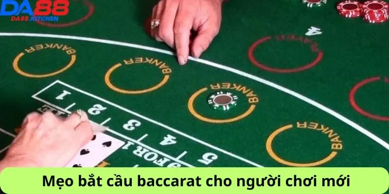 Mẹo về cách bắt cầu baccarat cho người mới