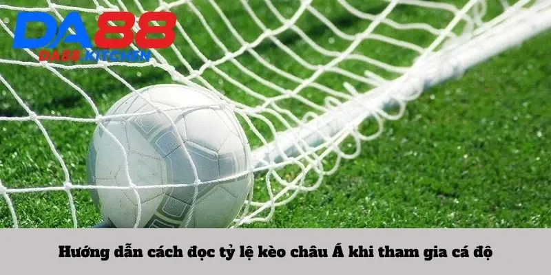 Hướng dẫn cách đọc tỷ lệ kèo châu Á khi tham gia cá độ