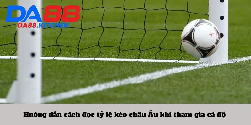 Hướng dẫn cách đọc tỷ lệ kèo châu Âu khi tham gia cá độ 