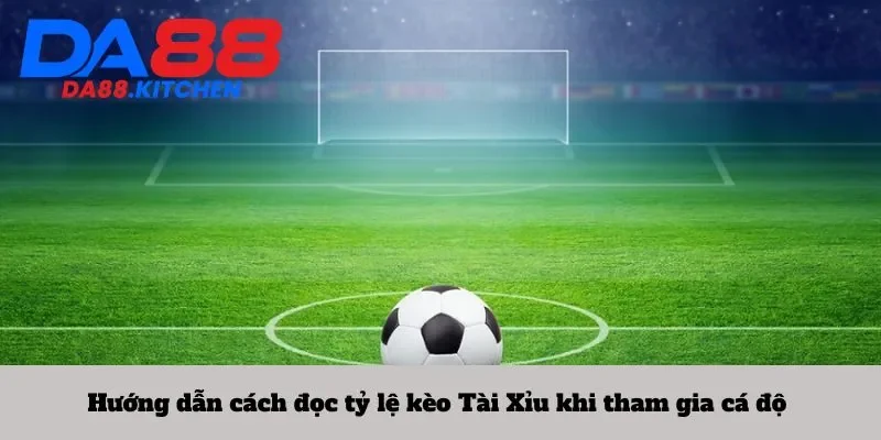 Hướng dẫn cách đọc tỷ lệ kèo Tài Xỉu khi tham gia cá độ 